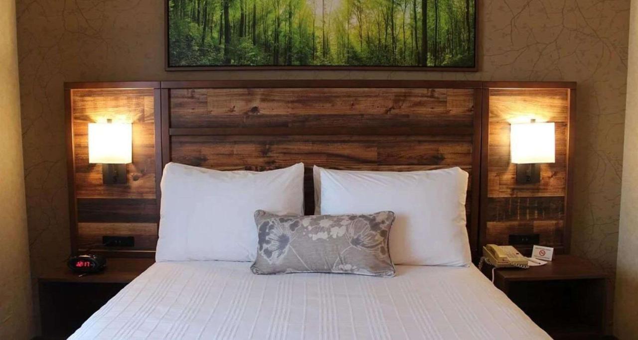 Best Western Plus Valemount Inn & Suites Экстерьер фото